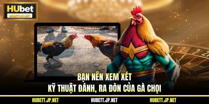 Bạn nên xem xét kỹ thuật đánh, ra đòn của gà chọi