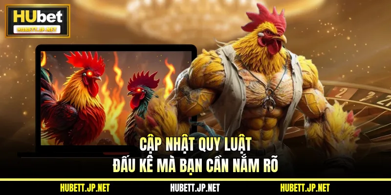 Cập nhật quy luật đấu kê mà bạn cần nắm rõ