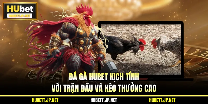 Đá Gà HUBET Kịch Tính Với Trận Đấu Và Kèo Thưởng Cao