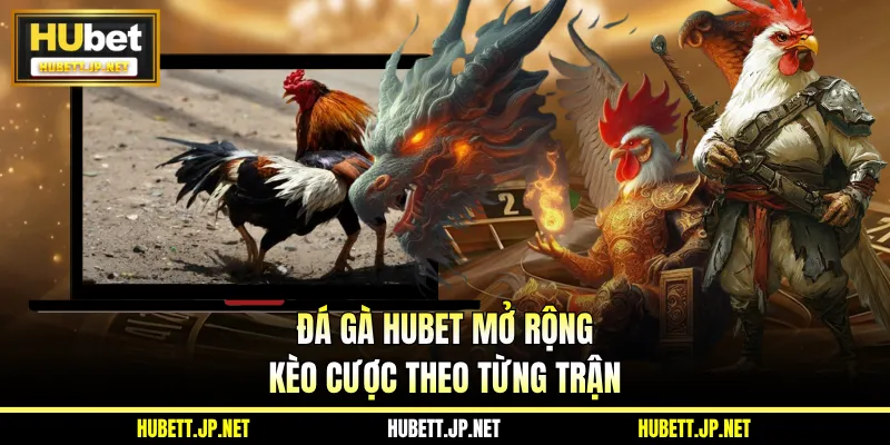 Đá gà HUBET mở rộng kèo cược theo từng trận