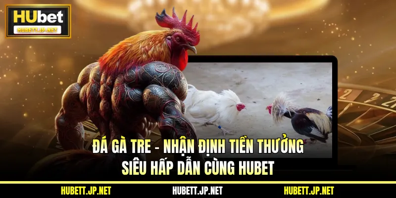 Đá Gà Tre - Nhận Định Tiền Thưởng Siêu Hấp Dẫn Cùng Hubet