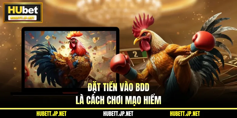 Đặt tiền vào BDD là cách chơi mạo hiểm