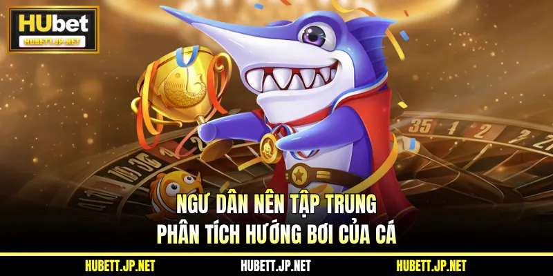 Ngư dân nên tập trung phân tích hướng bơi của cá