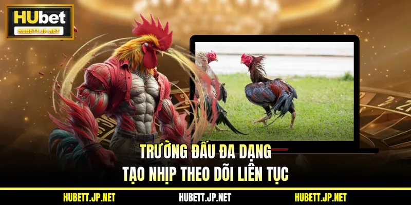 Trường đấu đa dạng tạo nhịp theo dõi liên tục