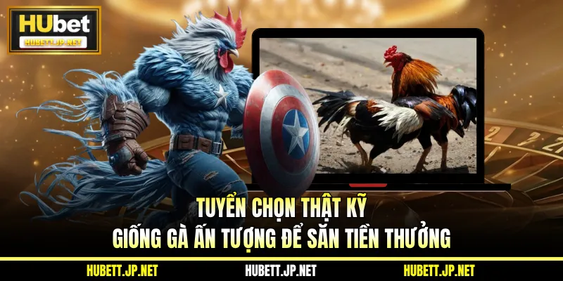 Tuyển chọn thật kỹ giống gà ấn tượng để săn tiền thưởng