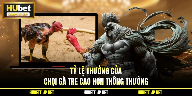 Tỷ lệ thưởng của chọi gà tre cao hơn thông thường